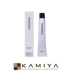 SHISEIDO 資生堂プロフェッショナル プリミエンス ニュアンス