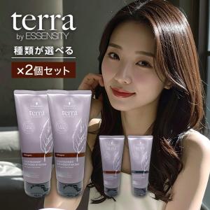 シュワルツコフ テラ terra カラー　21本セット シュワルツコフ 艶色クレイカラー terra テラ | 理美容用品商材