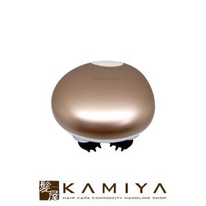 レディッチ 家庭用脱毛器 LEDitch 家庭用LED美容器 ムダ毛ケア 美肌