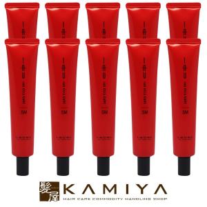 ルベル イオ セルケア 5M(メルト) 40ml 10個セット