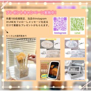 ドレッサー おしゃれ 鏡台 化粧台 値引キャン...の詳細画像4