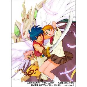 【中古】BD）天空のエスカフローネ Blu-ray BOX [4934569354242]｜raylbox