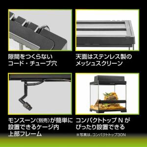 【全国送料無料】 GEX エキゾテラ グラステ...の詳細画像5