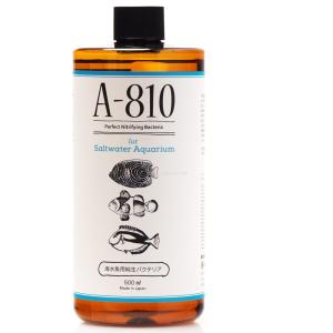 全国送料無料】 日本プロジェクトバイオ 純正バクテリア A810 金魚
