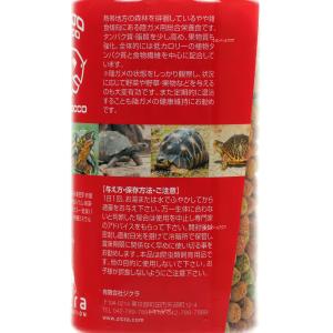 【全国送料無料】 ジクラ アギト JOJO F...の詳細画像1
