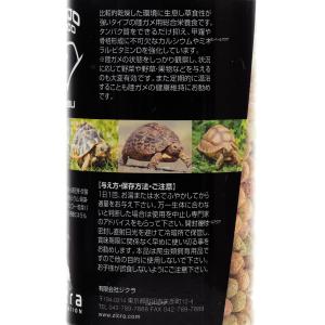 【全国送料無料】 ジクラ アギト JOJO F...の詳細画像1