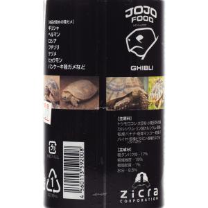 【全国送料無料】 ジクラ アギト JOJO F...の詳細画像2