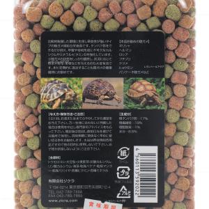【全国送料無料】 ジクラ アギト JOJO F...の詳細画像1