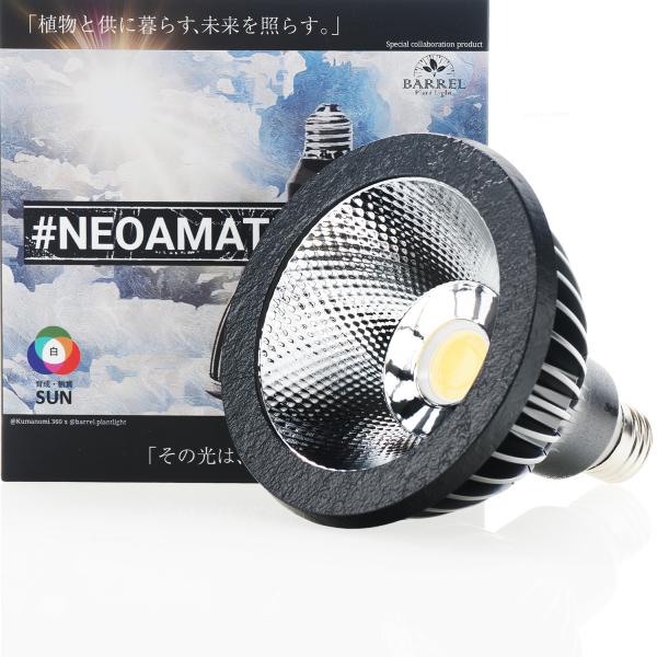 【全国送料無料】 BARRELバレル NEO AMATERAS LED 20W ネオアマテラス 20...