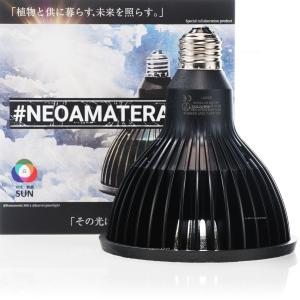 【全国送料無料】 BARRELバレル NEO ...の詳細画像2