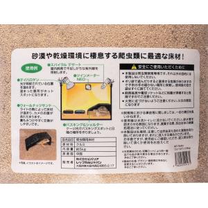【全国送料無料】 ビバリア ウォールナッツサン...の詳細画像2
