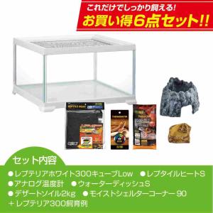 【全国送料無料】 GEX エキゾテラ レプテリ...の詳細画像1
