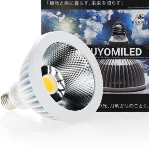 【全国送料無料】 BARRELバレル 月読命 ネオツクヨミ20W ホワイト NEOTSUKUYOMI LED 20W WH  お取り寄せ中｜rayonvertaqua