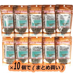 【全国送料無料】 オクトジャパン ゼニス オクトヌマエビ ヌマエビ専用フード 40g 茶×10袋 まとめ買い｜rayonvertaqua