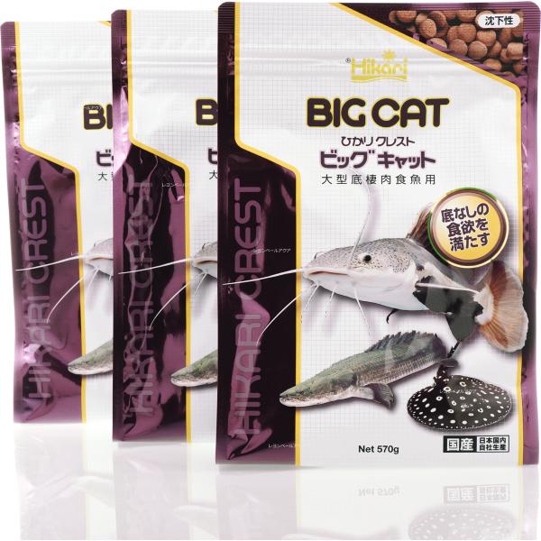 【全国送料無料】 キョーリン ひかりクレスト ビッグキャット 570g ×3袋 まとめ買い