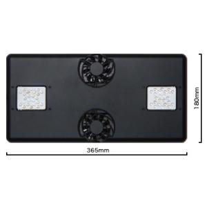 ボルクスジャパン　グラッシーCore X200 ボルクス グラッシーコア X200 リーフ（SPSサンゴモデル）吊り