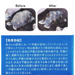 【全国送料無料】 ジクラ ジョジョ スピラー ...の詳細画像1