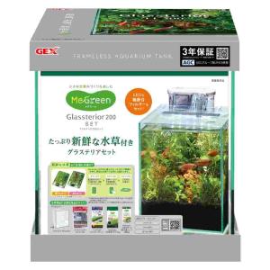 【全国送料無料】 GEX MeGreen メグリーン 新鮮な水草付き  グラステリア 200セット 新商品｜rayonvertaqua