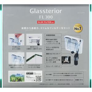 【全国送料無料】 GEX グラステリアFL30...の詳細画像1