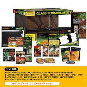 【全国送料無料】 GEX エキゾテラ フトアゴ...の詳細画像1