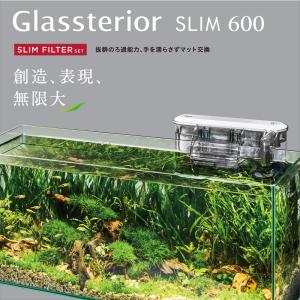 【全国送料無料】 GEX グラステリア 600...の詳細画像2