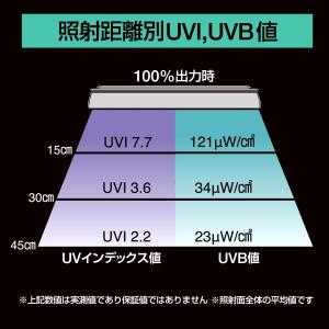 【全国送料無料】 ゼンスイ バータイプソラリウ...の詳細画像4