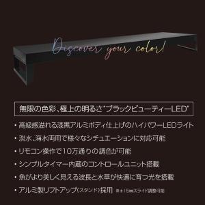 【全国送料無料】 ゼンスイ ヴィータ 900 ...の詳細画像1