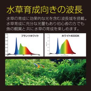 【全国送料無料】 ゼンスイ ヴィータ 900 ...の詳細画像3