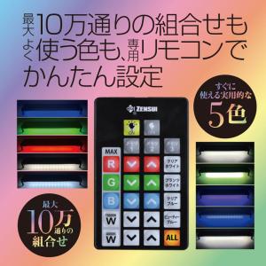 【全国送料無料】 ゼンスイ ヴィータ 900 ...の詳細画像5