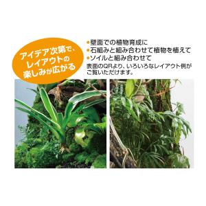 【全国送料無料】 GEX エキゾテラ テラメイ...の詳細画像4