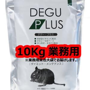 【全国送料無料】 三晃商会 デグープラス 10Kg  お取り寄せ中｜rayonvertaqua