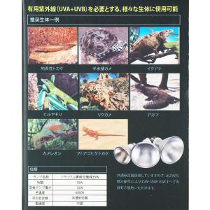 【全国送料無料】 ゼンスイ ソラリウムUV交換...の詳細画像1