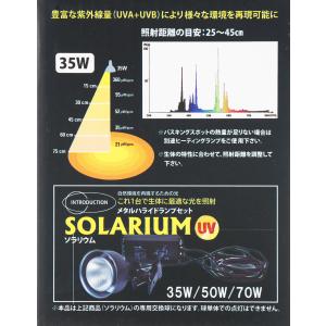 【全国送料無料】 ゼンスイ ソラリウムUV交換...の詳細画像2