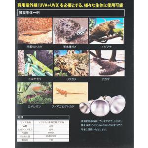 【全国送料無料】 ゼンスイ ソラリウムUV交換...の詳細画像1