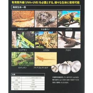 【全国送料無料】 ゼンスイ ソラリウムUV交換...の詳細画像1