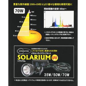 【全国送料無料】 ゼンスイ ソラリウムUV交換...の詳細画像2