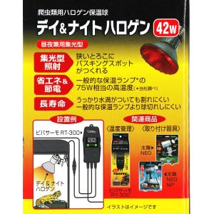【全国送料無料】 ビバリア デイ& ナ...の詳細画像1