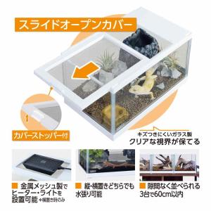 【全国送料無料】 GEX エキゾテラ レプテリ...の詳細画像3