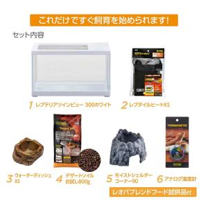 【全国送料無料】 GEX エキゾテラ レプテリ...の詳細画像5