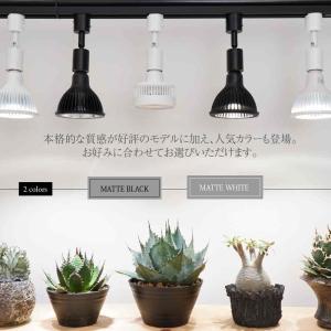 【全国送料無料】 BARRELバレル ライティ...の詳細画像4