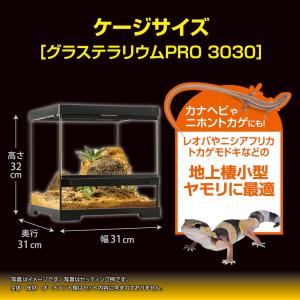 【全国送料無料】 GEX レオパ飼育セットGT...の詳細画像4