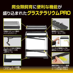 【全国送料無料】 GEX レオパ飼育セットGT...の詳細画像5