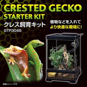 【全国送料無料】 GEX クレス飼育セットGT...の詳細画像2