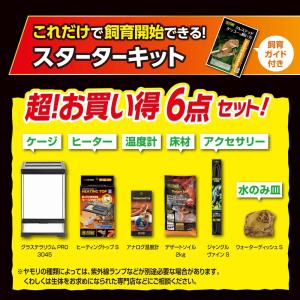 【全国送料無料】 GEX クレス飼育セットGT...の詳細画像3