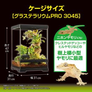 【全国送料無料】 GEX クレス飼育セットGT...の詳細画像4
