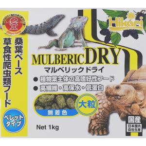 【全国送料無料】 キョーリン マルベリックドラ...の詳細画像1