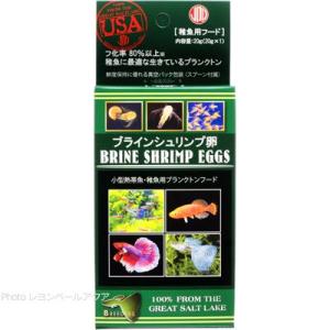 【全国送料360円対応】 日本動物薬品 ブラインシュリンプエッグス 20g 魚のエサの商品画像