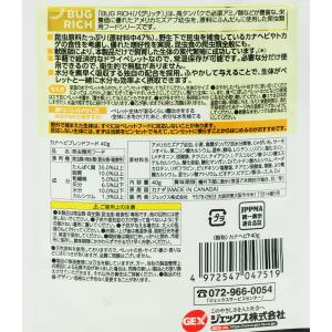【全国送料無料】 GEX エキゾテラ カナヘビ...の詳細画像1