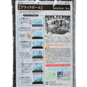 【全国送料無料】 SDシンセー ブラックホール...の詳細画像1