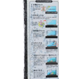 【全国送料無料】 SDシンセー ブラックホール...の詳細画像2